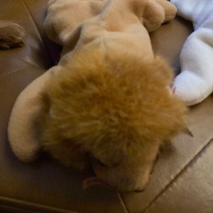 1996 Roary the lion by Ty